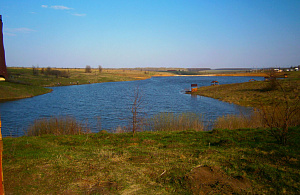 , Россия, Воронежская область, Рамонский район, территория СТ Горизонт