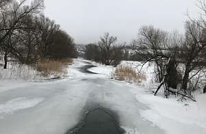 , Россия, Воронежская область, Семилукский район, село Ендовище, улица Матросова, дом 34А